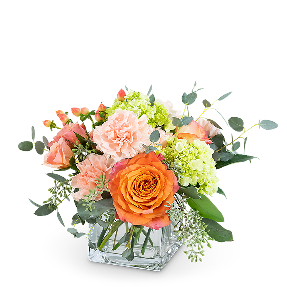 Orange and pink roses with pale green hydrangeas in a clear glass vase