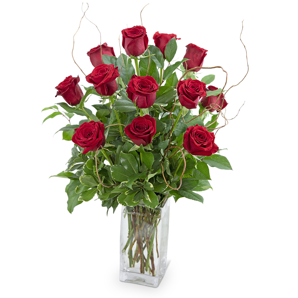 Red roses arranged in a clear glass vase with curly branches