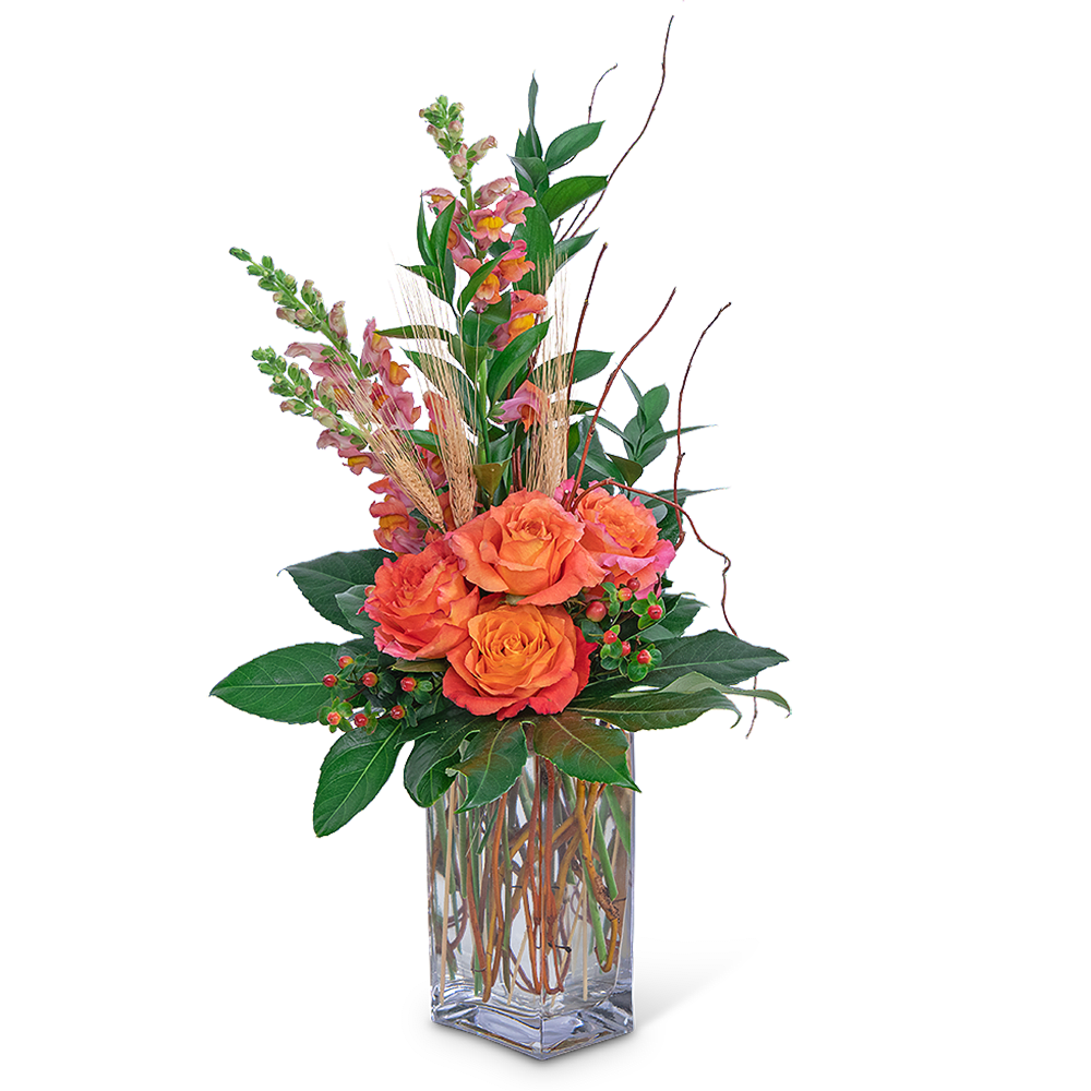 Captivating Coral - Captivating Coral features roses, Hypericum, Snapdragons, Aralia Fatsia, Curly Willow, Ruscus, and other premium foliage artfully gathered in a tall clear vase. This beautiful design is a work of art, with coral or orange flowers, and will make the perfect anniversary or birthday gift. 