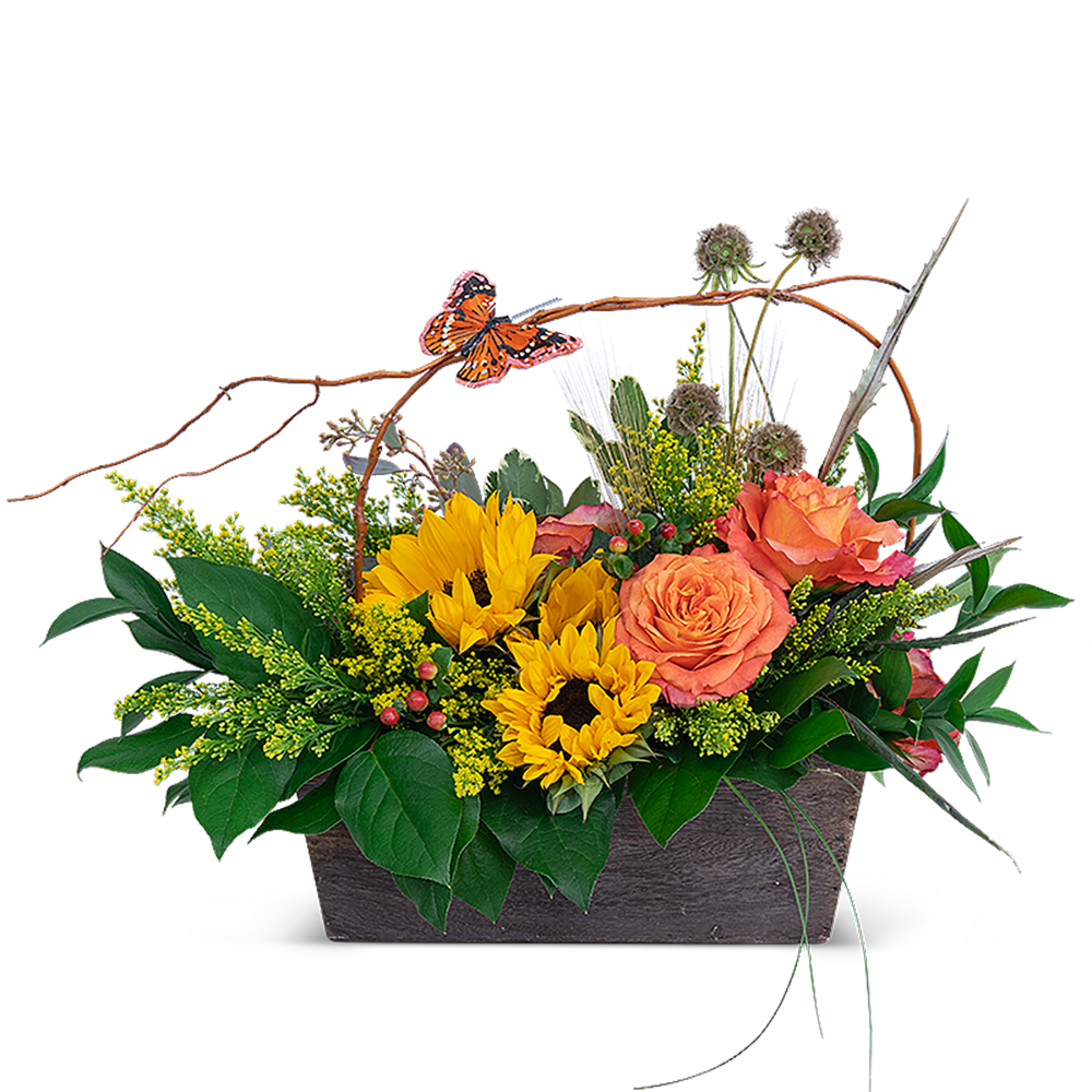 A Walk at Sunset - A Walk at Sunset is a beautiful way to send your love. Sunflowers represent pure love and adoration, which makes this design the perfect anniversary, birthday, or get well gift. This stunning design features orange roses, bright sunflowers, hypericum berry, and curly willow, with a sweet butterfly accent. 