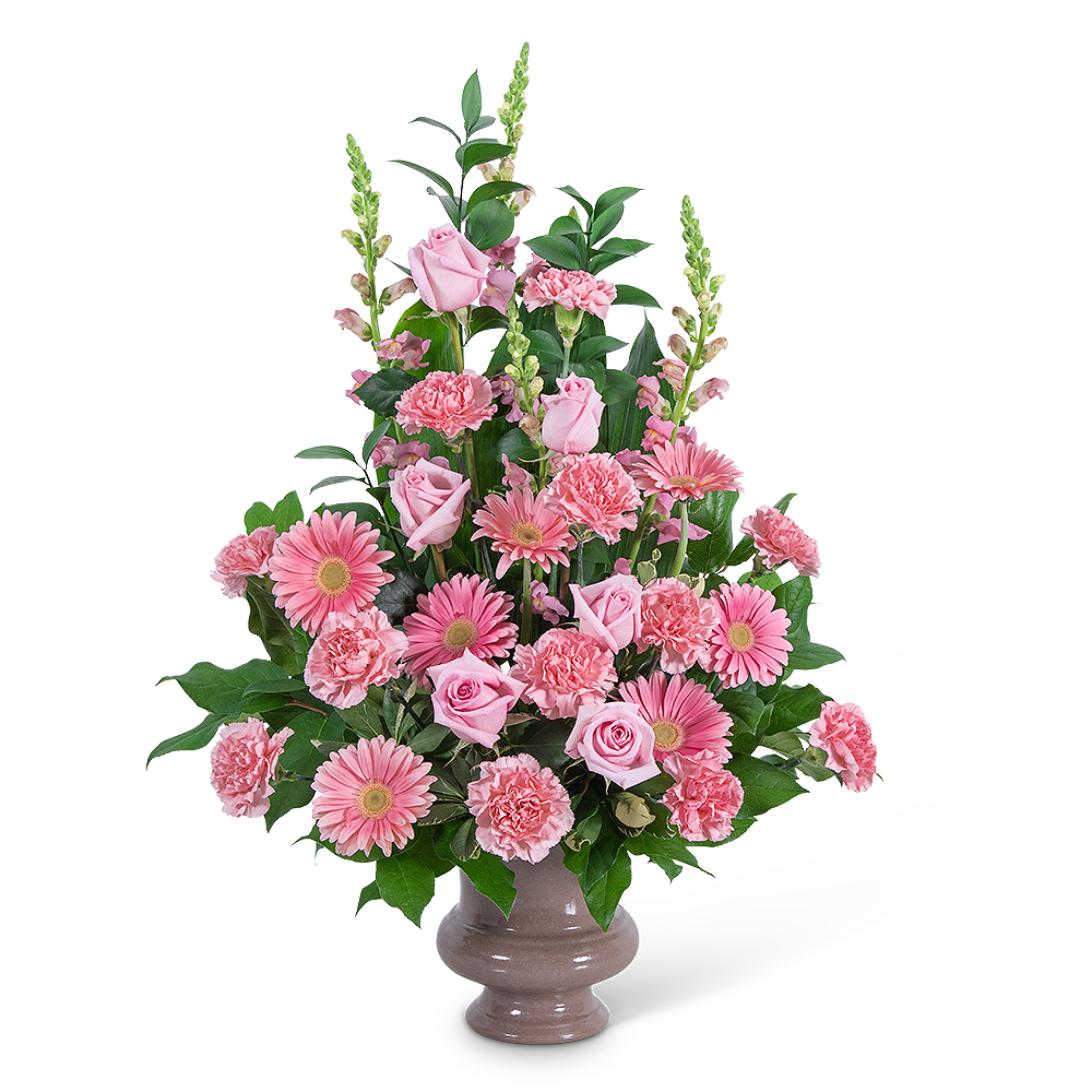 Forever Adored Urn - Pink carnations symbolize thoughts of remembrance, while pink roses are a sign of appreciation and grace. We bring together these beautiful pink flowers in a stunning design we call our Forever Adored Urn. It features delicate pink roses, carnations, snapdragons, Gerbera, Aspidistra, and premium foliage. Forever Adored Urn is the perfect sympathy design to send to a funeral or a grieving family to let them know their loved one will be forever adored and remembered.   The image shows the Deluxe arrangement.