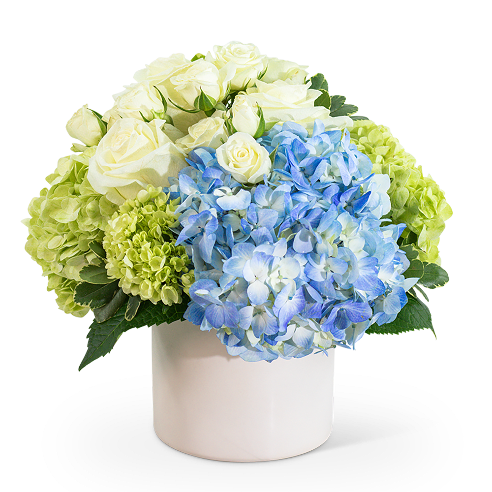 Home Garden - Home Garden is a full and lush design that would make anyone's day! It is a customer favorite, with blue and green full size and mini hydrangea, white roses and spray roses, in a modern white container. It fits well on a dining room table and would make a great anniversary or birthday gift. 
