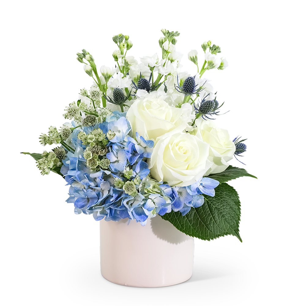 Bliss Garden - How do you show someone you care about them? Having Bliss Garden delivered to their door is a fail-proof way to show your love and appreciation.  Everyone around will appreciate the beauty and fragrance of this magnificent floral design. This refreshing floral arrangement features long-lasting white roses, hydrangea, stock, astrantia, and eryngium. Bliss Garden is the perfect gift for a birthday, get well, or new baby present to make your loved one feel extra special.