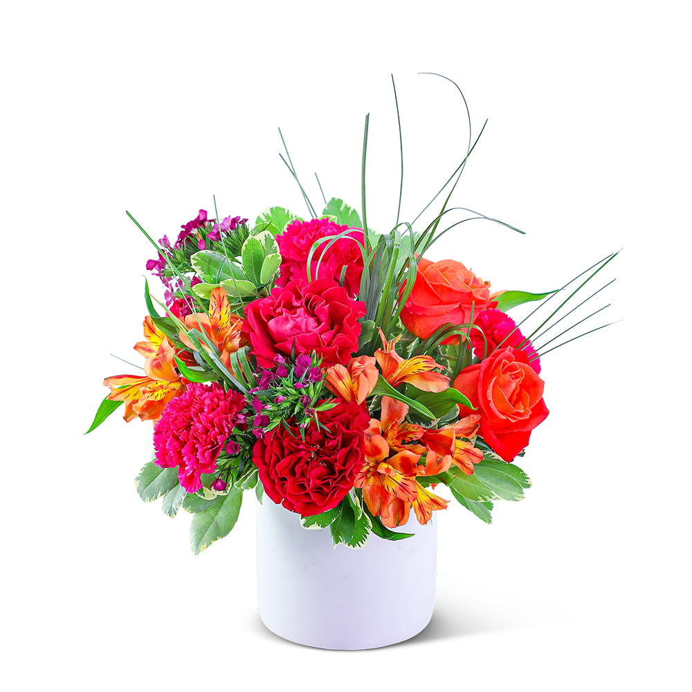 Tango in Paradise - Add bold color to your life with our Tango in Paradise design. Our hand-arranged, floral design is the perfect way to show someone special how much you care. It features gorgeous reds, pinks, and oranges in a combination of Roses, Carnations, Alstroemeria, Dianthus, and premium foliage. This sweet, colorful arrangement is the perfect statement piece for a side table or desk.