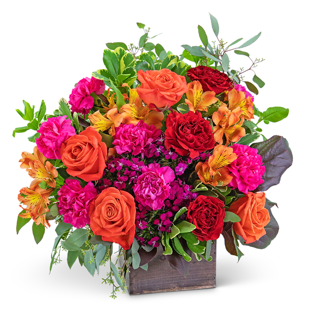Viva Panama - Nothing is more full of life than this design. Viva Panama is a vibrant collection of Myra and orange roses, carnations, alstroemeria, and dianthus accented with a variety of foliage in a modern wooden box. This large, colorful arrangement would make quite a statement on an entryway or dining room table.