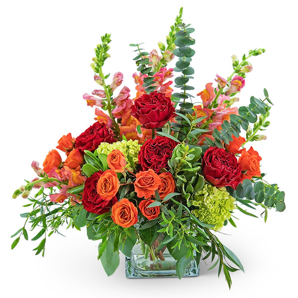 Capri Sunset - With its deep reds, oranges, and pinks, this arrangement is as stunning as it’s namesake. Capri Sunset features roses, snapdragons, hydrangea, pittosporum, eucalyptus, and parvifolia. No matter what the occasion, this bouquet will add just the right touch of warmth!