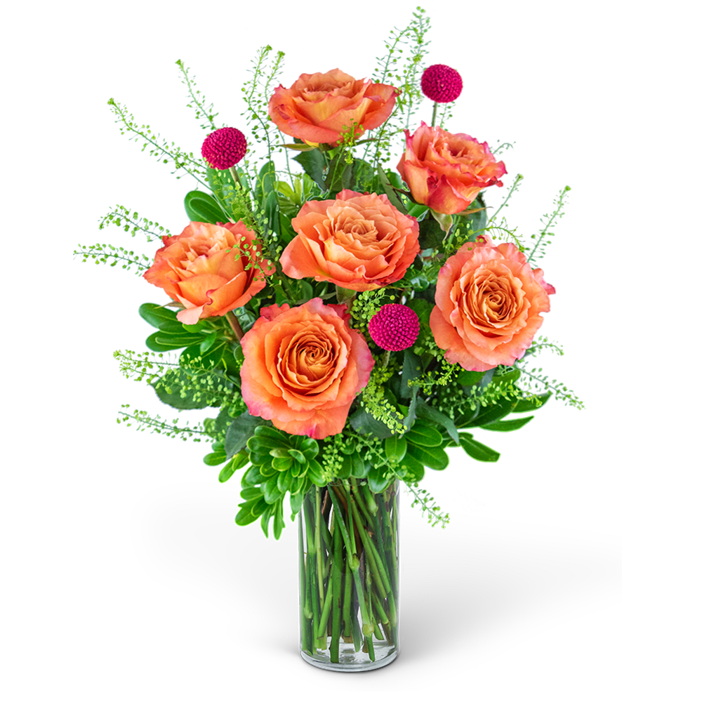 Orange roses in a clear glass vase with pink pom-pom accents