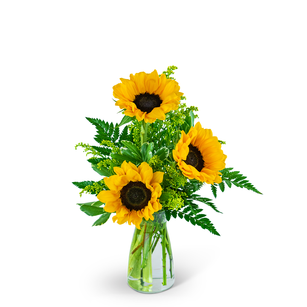 Three Suns of Joy - Our Three Suns of Joy design radiates warmth and happiness with vibrant sunflowers and premium foliage delicately arranged in a clear vase. Bursting with vibrant colors and natural beauty, this arrangement is the perfect way to brighten someone's day and bring a touch of sunshine indoors. Three Suns of Joy is sure to bring joy and uplift the spirit of anyone who receives it.