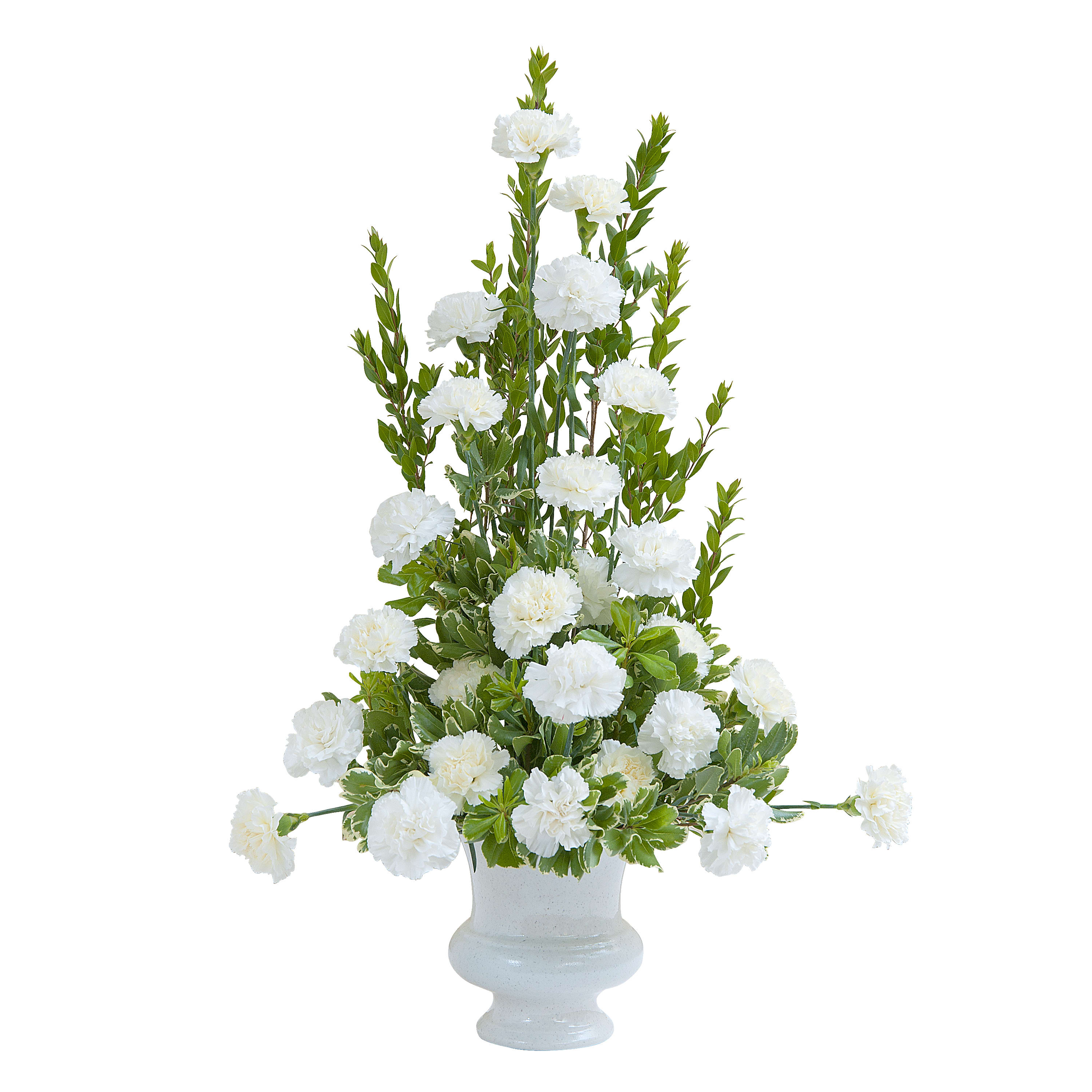 Simple Love Urn - A classic white urn filled with white Carnations and premium foliage. Approximately 22" wide by 28" high