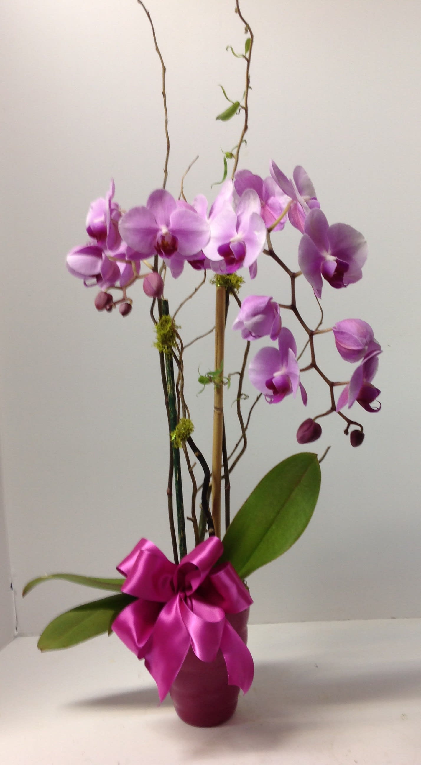 Purple orchids in a vase with a pink ribbon bow