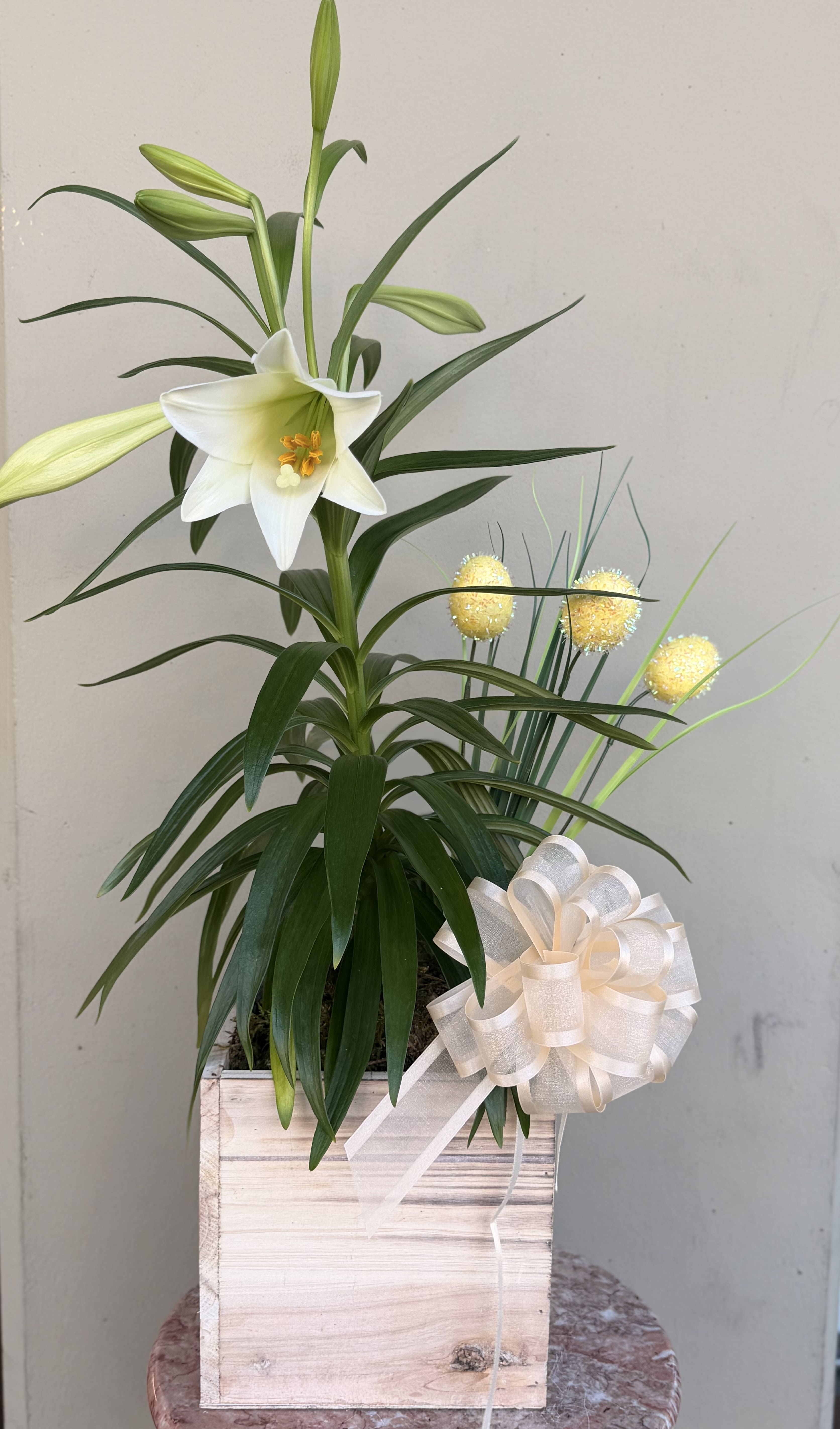 White lily in a wooden box with a cream ribbon bow