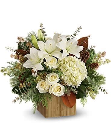 Teleflora's Snowy Woods Bouquet - Hand-delivered in a chic bamboo cube, this extraordinary bouquet of snowy-white blooms and fresh greens is a modern winter gift. This winter bouquet includes white hydrangea, white roses, white asiatic lilies, magnolia leaves, seeded eucalyptus, spiral eucalyptus, flat cedar and white pine. Delivered in a bamboo cube.