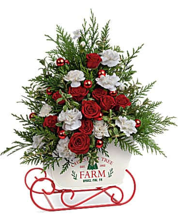 Teleflora's Joyful Holiday Tree Bouquet - Fresh from the tree farm! Wish them a very merry Christmas with this joyful holiday rose tree in a vintage-inspired metal sleigh. This joyful bouquet includes red spray roses, miniature white carnations, cedar and oregonia. Delivered in a Snow What Fun Sleigh Keepsake.