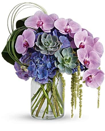 Pink orchids and blue hydrangeas in a glass vase with succulents