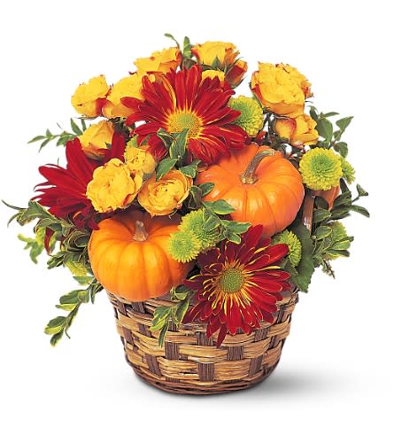 Fall Basket - With red and yellow flowers, along with miniature pumpkins, this basket offers a little hint of everything fall.     Chrysanthemums, roses and miniature pumpkins arrive in a tasteful basket. Approximately 9" W x 12" H 