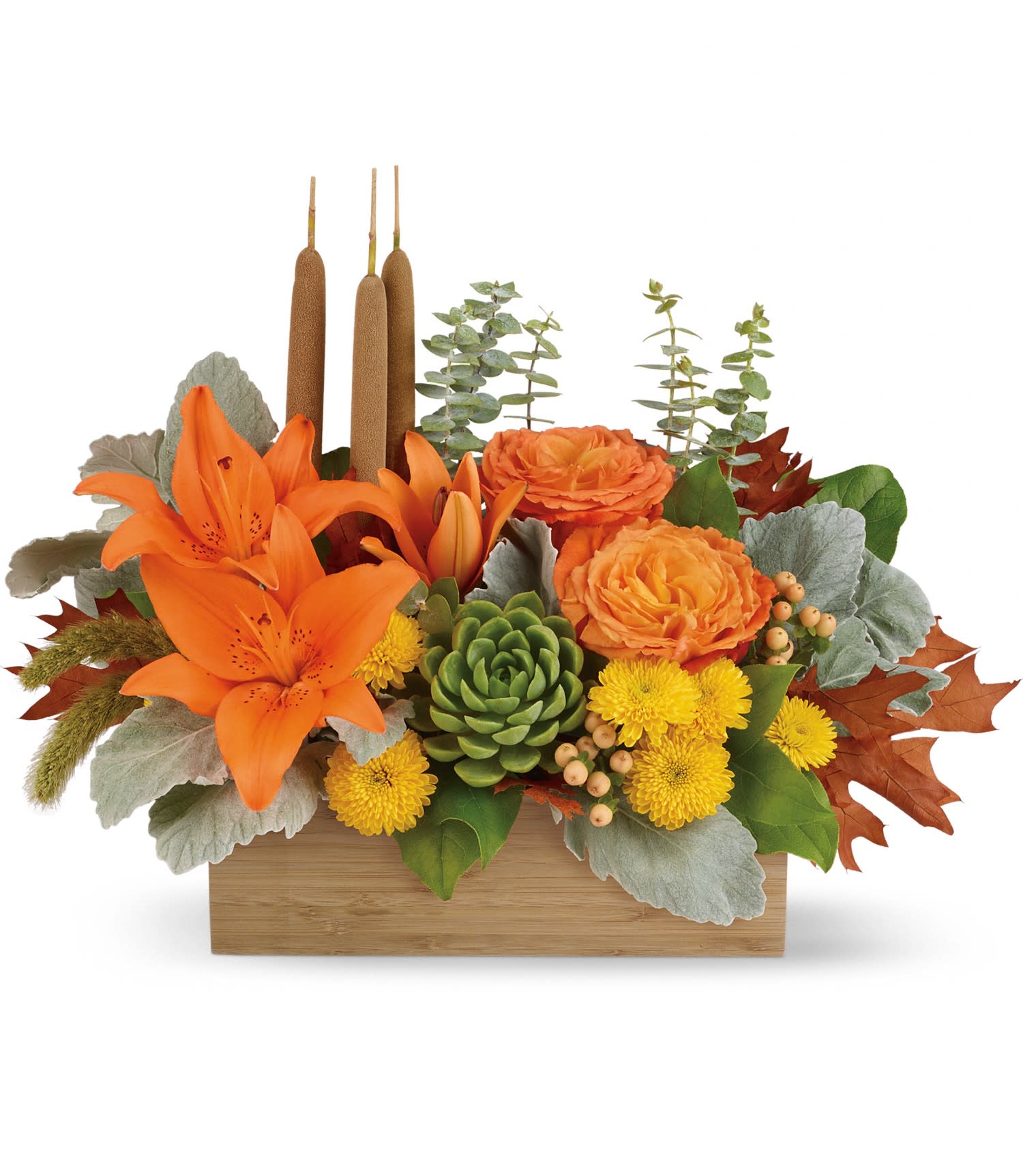Fall Garden - Zen Harvest! You can't help but fall into a deep state of relaxation when you feast your eyes on this striking centerpiece. This artistic arrangement will enchant with shades of peach, orange and green - combining roses, lilies and even a succulent plant! Hand-delivered in a natural-toned wooden rectangle.  This gorgeous centerpiece arrangement features orange rose, orange asiatic lilies, yellow cushion spray chrysanthemums, peach hypericum, millet, cattails and a succulent plant, and finished with dusty miller, spiral eucalyptus and lemon leaf. Delivered in a natural wooden rectangle. Approximately 18 1/4" W x 14 1/4" H