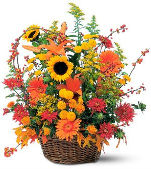 Majestic Fall - With gorgeous fall colors of yellow, rust and orange, this spectacular arrangement captures the essence of this colorful season.   Chrysanthemums, gerberas, lilies and sunflowers delivered in a beautiful wicker basket. Approximately 20" W x 24" H 