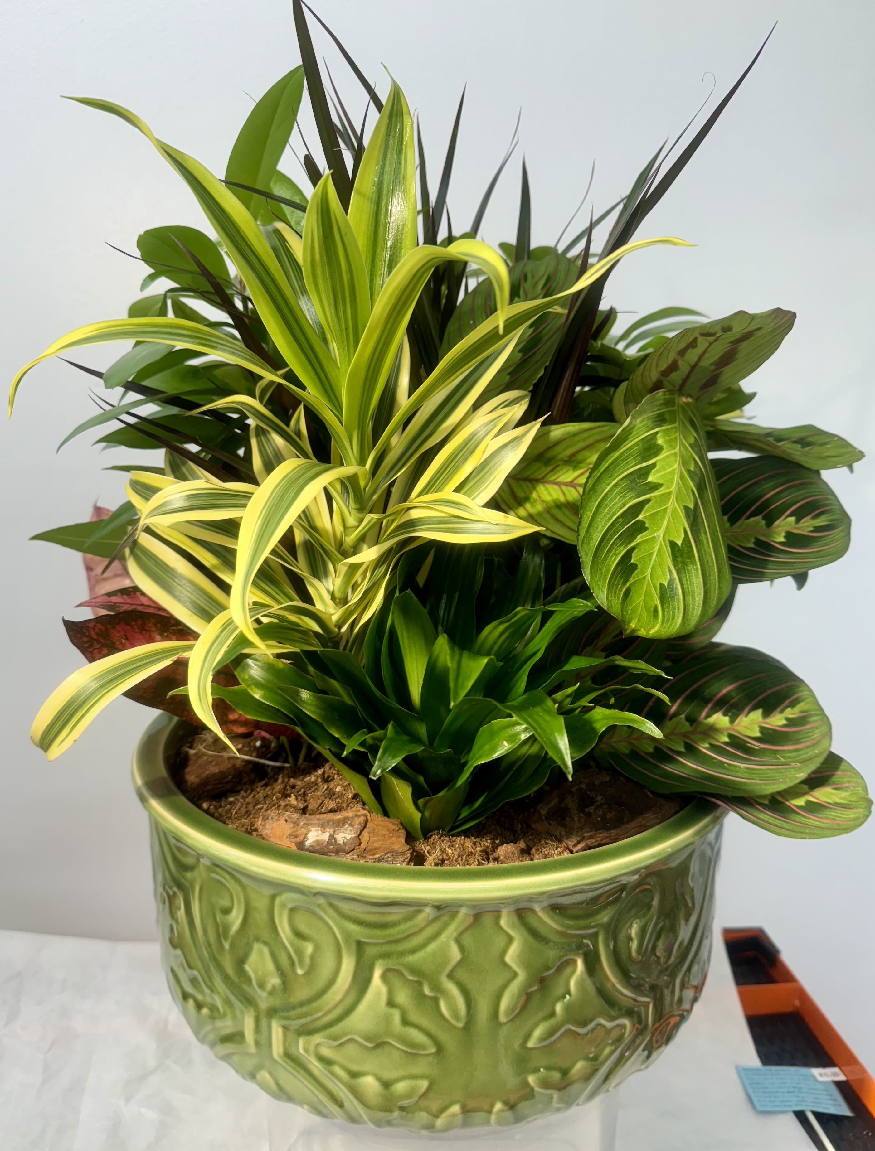 Mixed green houseplants arranged in a decorative green ceramic pot