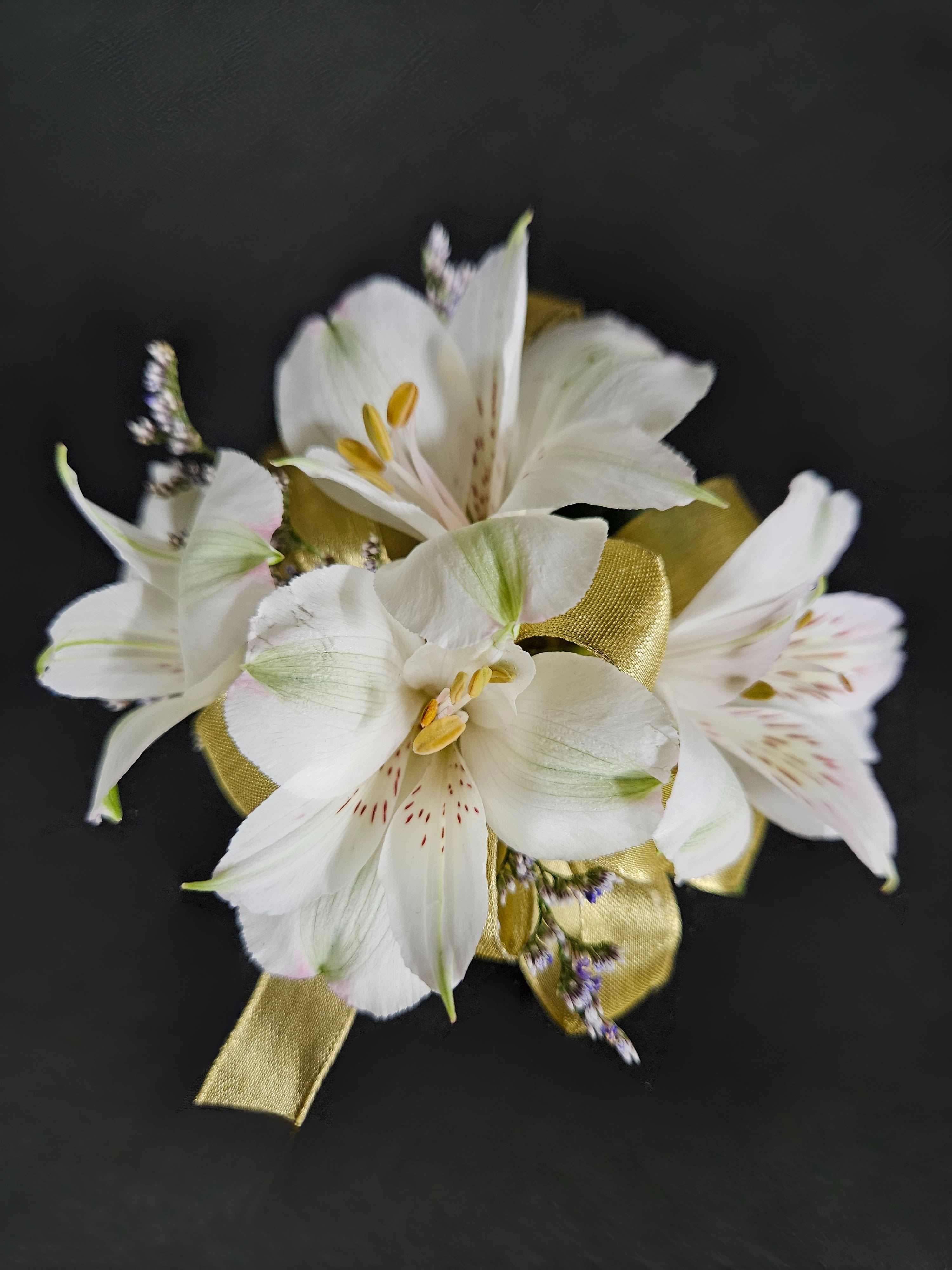 White lily corsage with gold ribbon on a black background