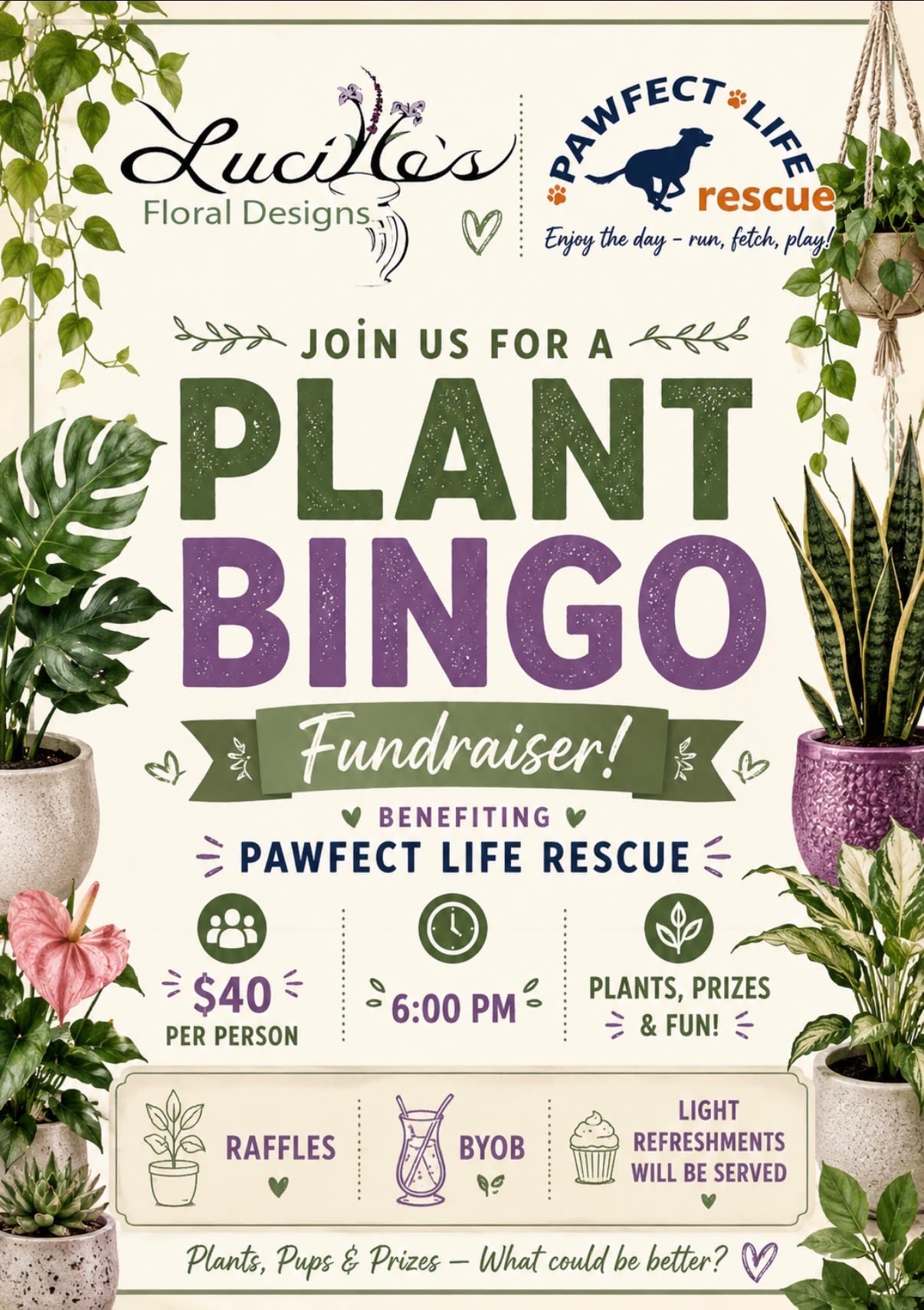 Pawfect Plant Bingo 9/24 Fundraiser - Join us for a night of fun and prizes 9/24 at 6PM! Cost is $40.00 per guest. We will host a bingo night with prizes of plants in all shapes and sizes. Indoor exotic tropical plants, succulents, blooming, outdoor and more! Some prizes will be pet inspired including free trims from Splash and Dash and Grooming gift cards from Groomed professional Pet Spa. Admission includes a board and raffle tickets. Bring cash to increase your odds, additional bingo boards will be available while supplies last for $10.00/each. Additional raffle tickets will be available for $5.00/each. *Please choose 9/24 as delivery date and be sure to toggle to the pick up option in the check out prompts. All proceeds will go directly to Pawfect Life Dog rescue 195 Olde Millville Rd Uxbridge, MA. Standard is admission for one, deluxe admission for two and Premium admission for three. Larger groups please call direct or put multiple in your cart. Seats will be limited! Admission is non refundable unless Lucille's Floral Designs has to cancel the event. We will have non alcoholic beverages available, you are welcome to bring your own snacks and beverages of choice!