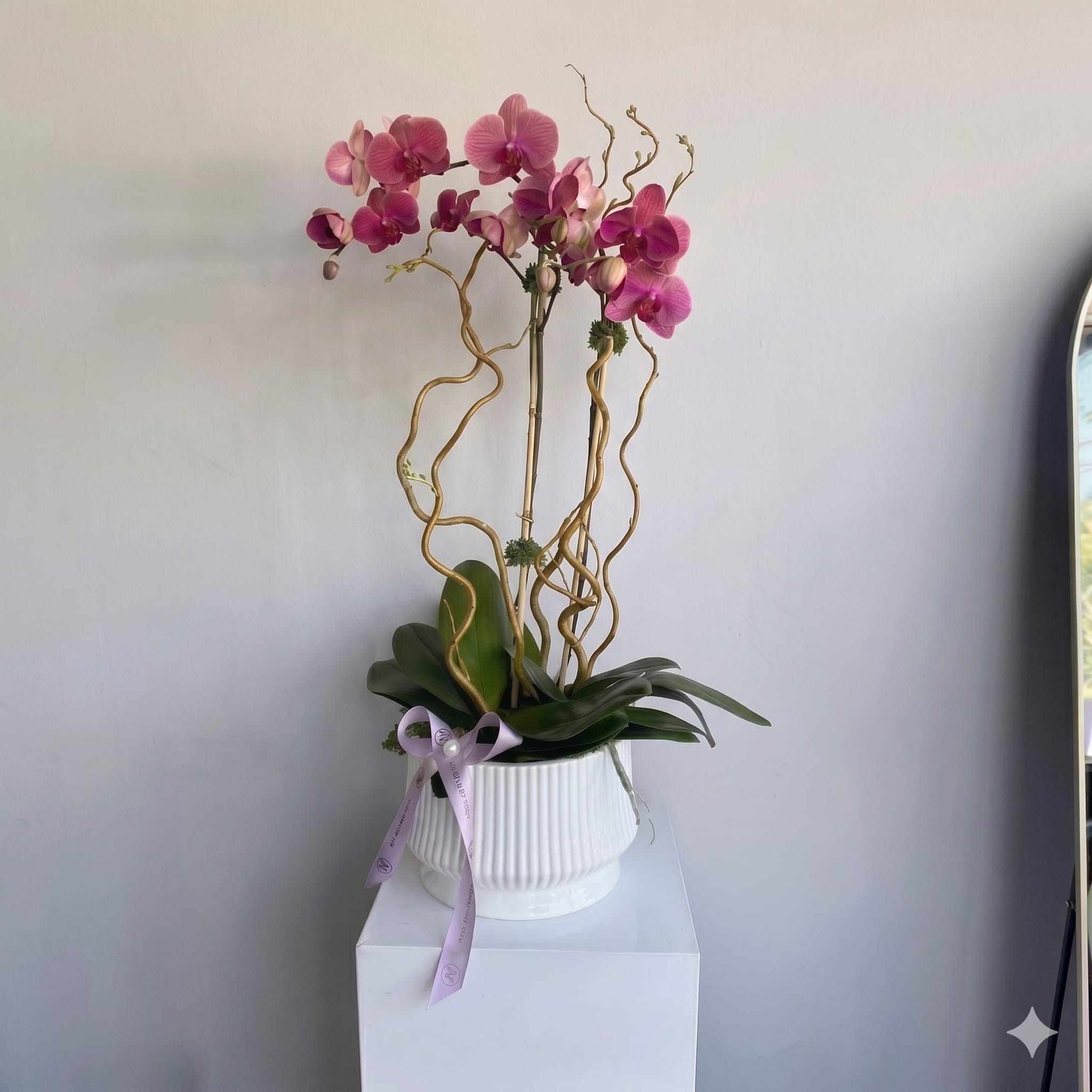 Multicolor Orchids Set - Orchids – fabulously beautiful composition for the most beautiful congratulations and to create a glamorous vibe. Orchids in any seasonal colors. Please specify in the "Note" which color you prefer or call us!
