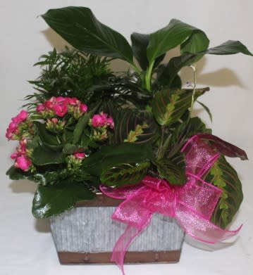 Potted plant arrangement with pink flowers and a bright pink ribbon