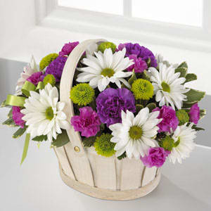 Basket of white daisies, purple carnations, and green pompons