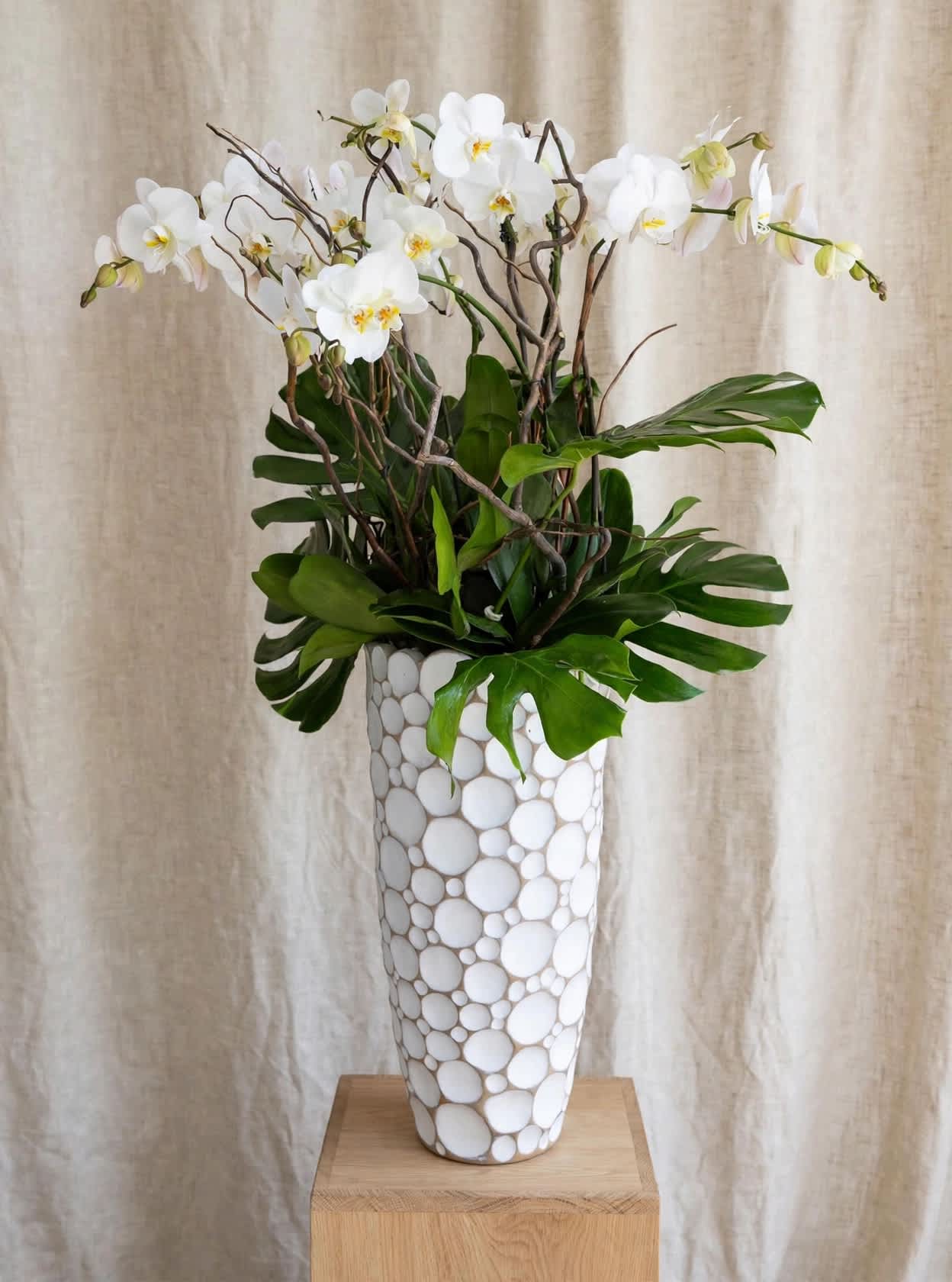 White orchids arranged in a tall patterned vase