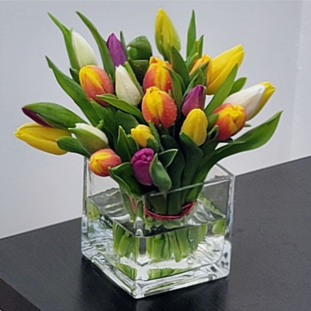 Tulips Intertwined Bouquet - Looking to brighten someone's day? Send a stunning bouquet of hand-picked tulips, carefully arranged to ensure freshness and beauty. With their vibrant colors and delicate petals, tulips are the perfect way to express love, gratitude, or simply say "thinking of you."  Approximate Size: 9" H x 9" W. Square vase 5x5. Order now for a thoughtful, fresh gift!