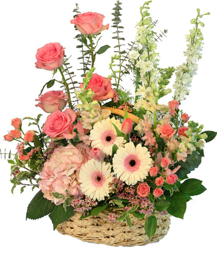 Blushing Sweetness - There's nothing bashful about these blushing blooms! With beautiful pink roses, lovely pink tulips, gorgeous pink snapdragons, and pretty bi-colored gerberas, Blushing Sweetness is a sight to behold. Whether you're looking to surprise someone special or want to send flowers just because, this dazzling basket will delight anyone who receives it! 