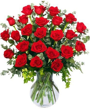 24 Radiant Red Roses Arrangement - Express your love with this magnificent display of roses!!  When the message needs to be clear, send beautiful red roses.Standard: 24 Roses. Deluxe:36 Roses. Premium: 48 Roses. 