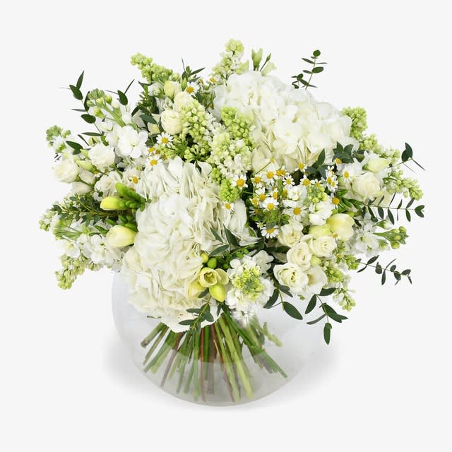 White treasure flower bouquet - Effortless elegance abounds in this subtle yet striking bouquet of hydrangeas, daisies, eucalyptus and freesias. Flashes of verdant green provide the backdrop for the flamboyance and fluffy exuberance of our hydrangeas, while sprigs of 'parvifolia' eucalyptus transport us to a distinctly Grecian world.