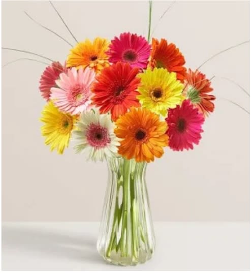 Colorful gerbera daisies in a clear glass vase
