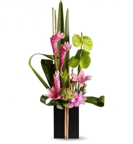 Pink tropical flowers arranged in a tall black vase