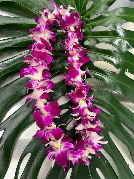 Purple orchid lei on large split-leaf greenery