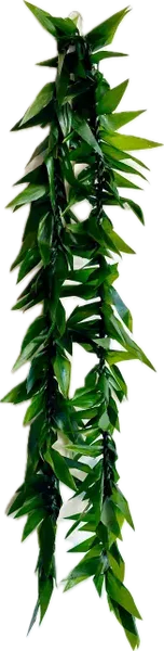 TI leaf Lei Maile style - 5ft TI leave Lei maile lei style full of leaves perfect for you special day.