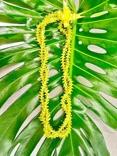 Yellow lei on a large green tropical leaf
