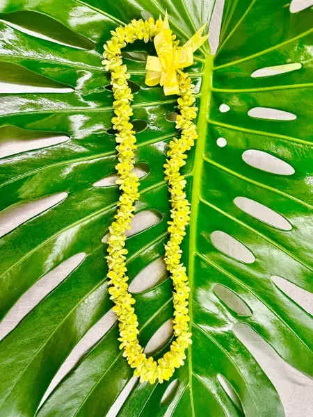 Yellow flower lei on a large green tropical leaf