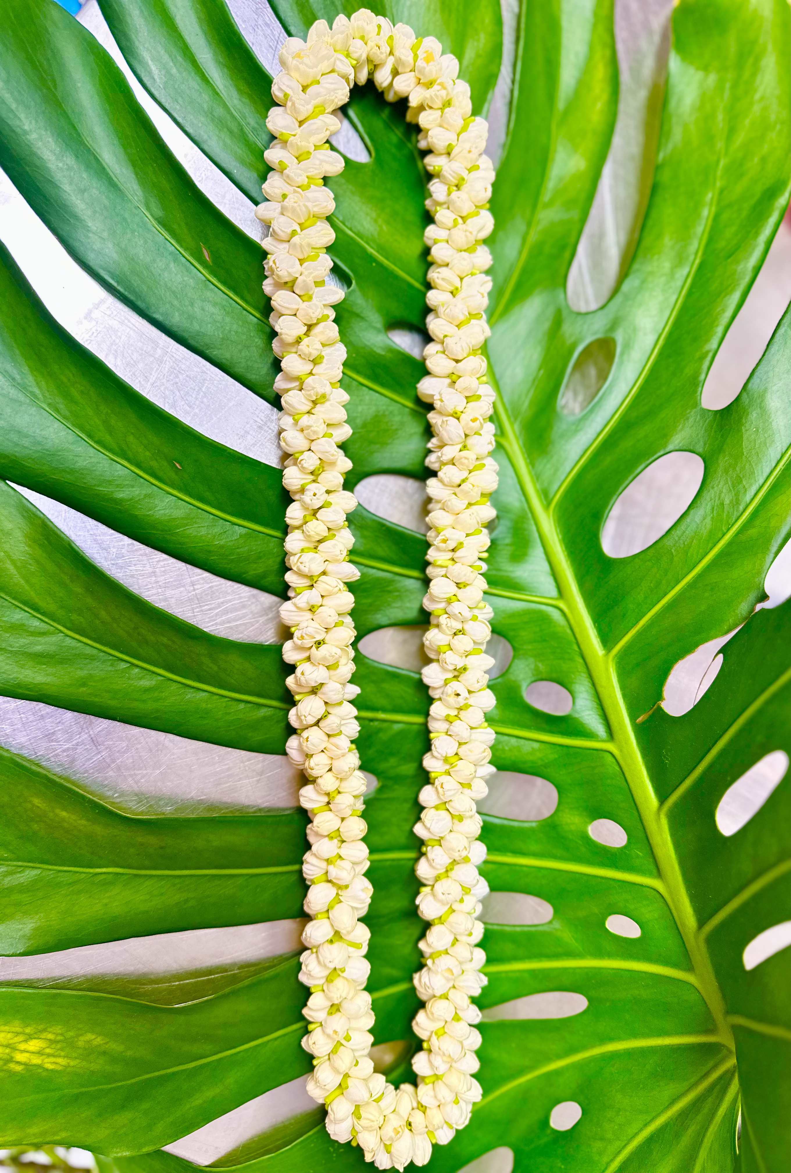 White flower garland laid over large green tropical leaves