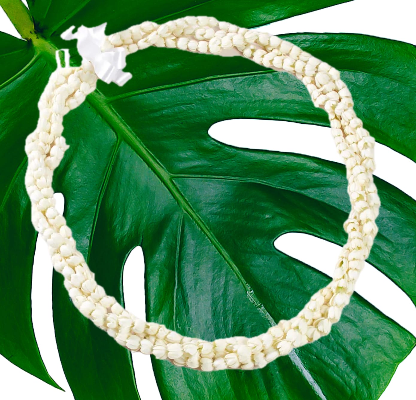 White flower lei on a large green leaf