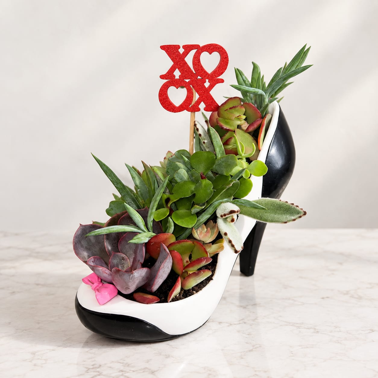 Succulent arrangement in a high-heel shoe planter with a red XO topper
