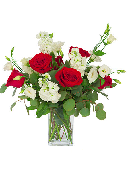 Arrangement of red roses and white flowers in a tall clear glass vase