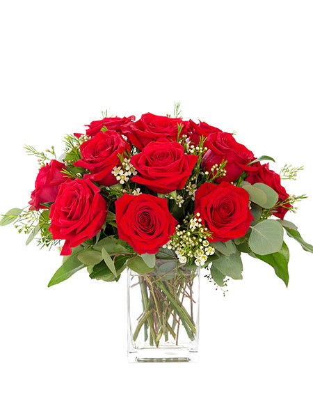 Red roses arranged in a clear glass vase