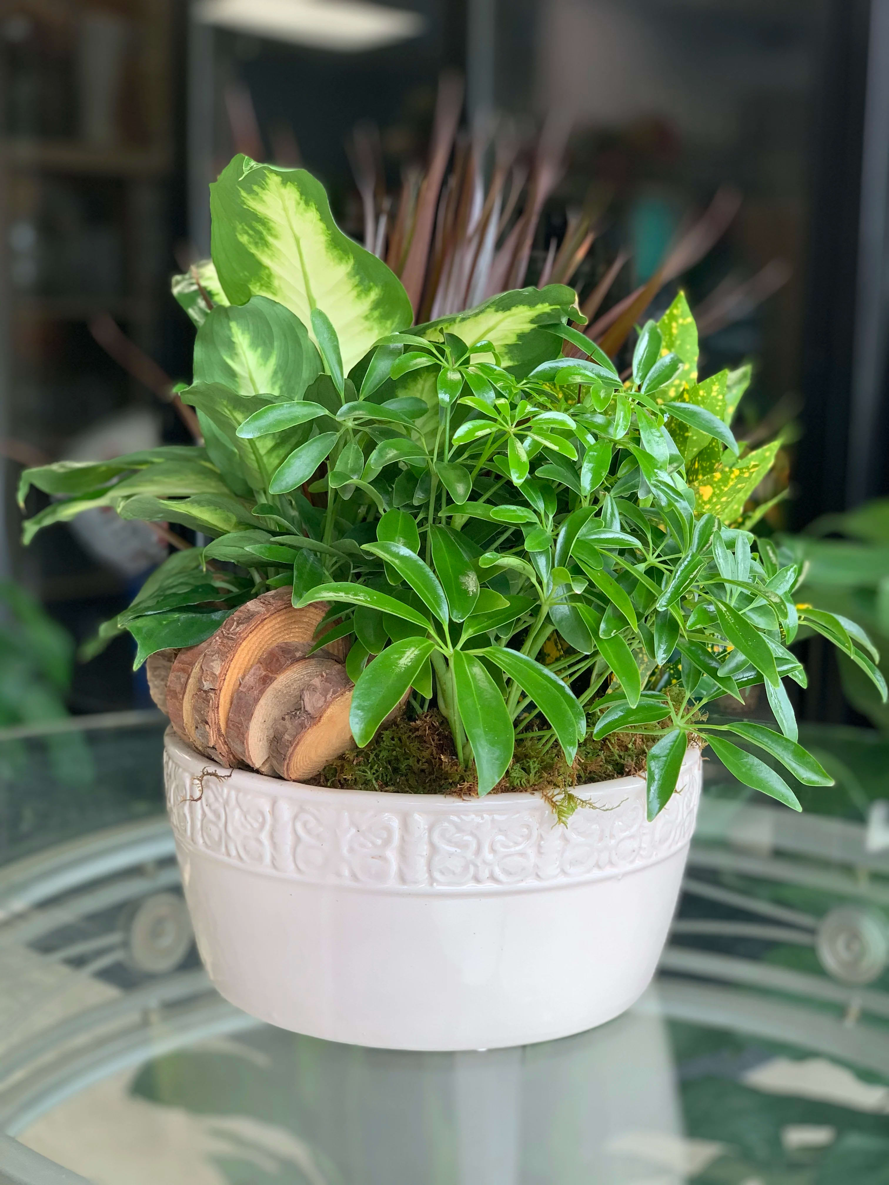 Assorted Garden Plants - Ceramic keepsake container. It's a long-lasting gift that communicates your love and best wishes, no matter the occasion. The Container may come in cream, brown or green. 