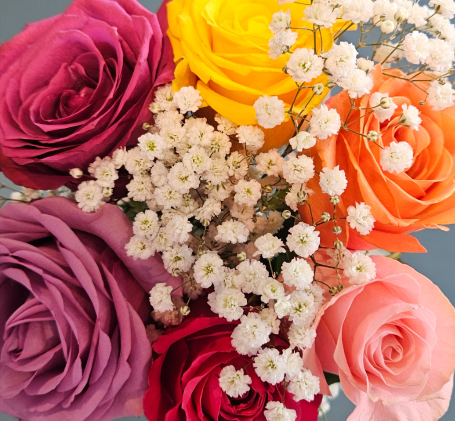 Bouquet of multicolored roses with white baby's breath
