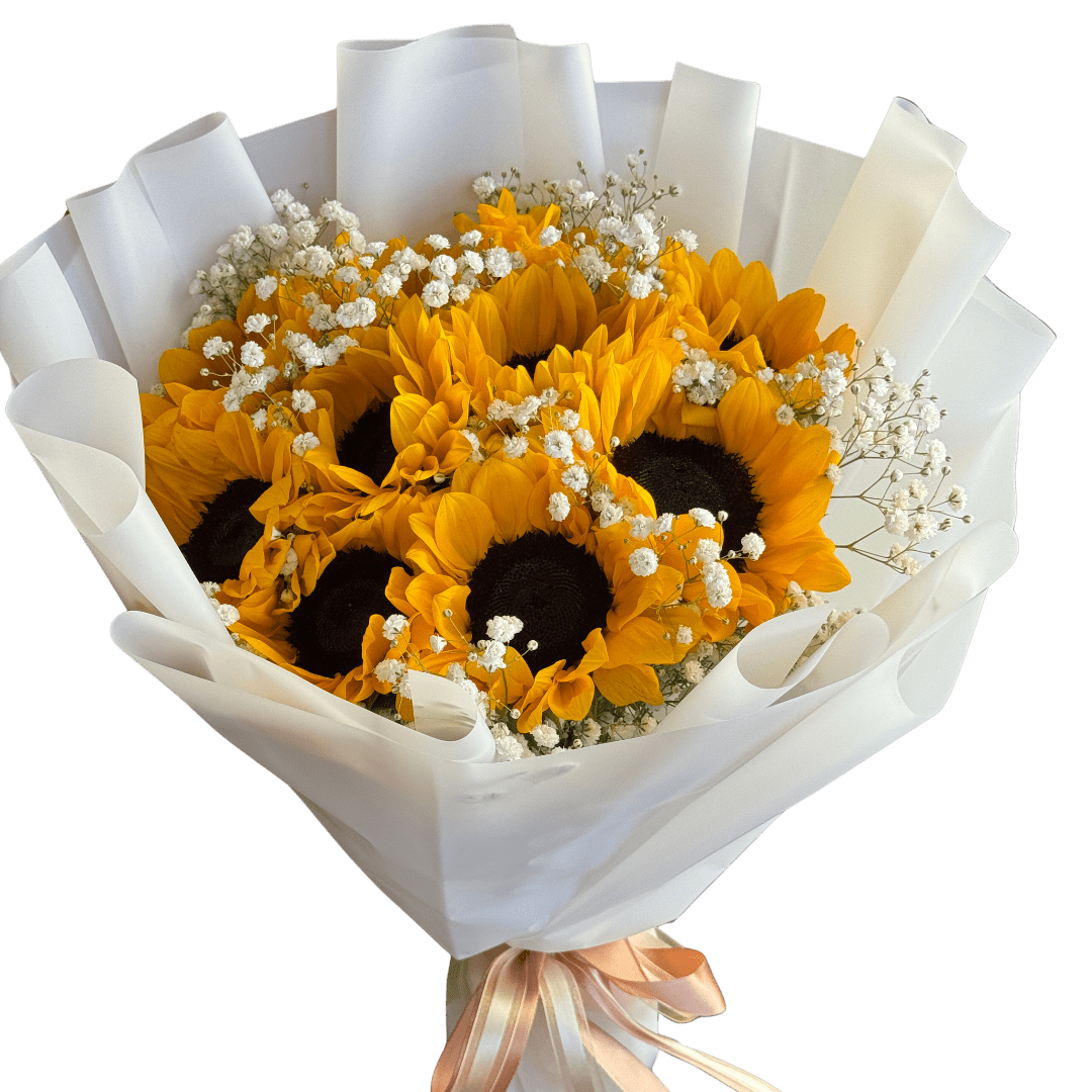 Bouquet of sunflowers wrapped in white paper with a peach ribbon