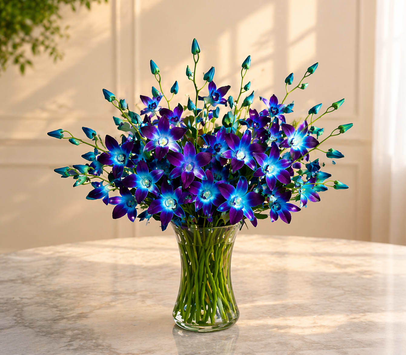 Luxury Blue &amp; Purple Dendrobium Orchids in Vase | Same Day Orchid Delivery Houston TX -   This elegant blue orchid arrangement is available in both 20 stem and 30 stem options, designed to deliver a modern, luxurious look for any occasion. Featuring premium blue dendrobium orchids arranged in a clear glass vase, each design showcases vibrant color, clean lines, and long-lasting beauty.  The 20 stem option offers a perfectly balanced, everyday luxury arrangement, while the 30 stem version provides a fuller, more dramatic presentation ideal for centerpieces, sympathy, events, or upscale gifts. Both are handcrafted by Floral Concepts using high-quality orchids sourced from top growers to ensure freshness and longevity.  Blue orchids symbolize beauty, strength, and uniqueness, making them a standout choice for birthdays, anniversaries, sympathy, or home décor. Whether you’re sending a thoughtful gift or elevating a space, this arrangement delivers both impact and elegance.  Floral Concepts is a trusted Houston florist offering same day flower delivery across Houston and surrounding areas. If you’re searching for blue orchid delivery in Houston or a modern luxury floral arrangement, this design is a top choice. If blue orchids are not avaiable we may have to sub with purple orchids.       