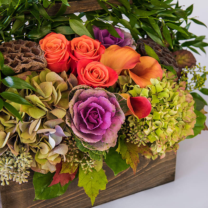 Low wooden box arrangement with orange roses, calla lilies, green hydrangeas, and purple ornamental cabbage.