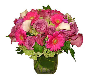 Compact pink and lavender bouquet with gerbera daisies and roses in a clear glass cube vase