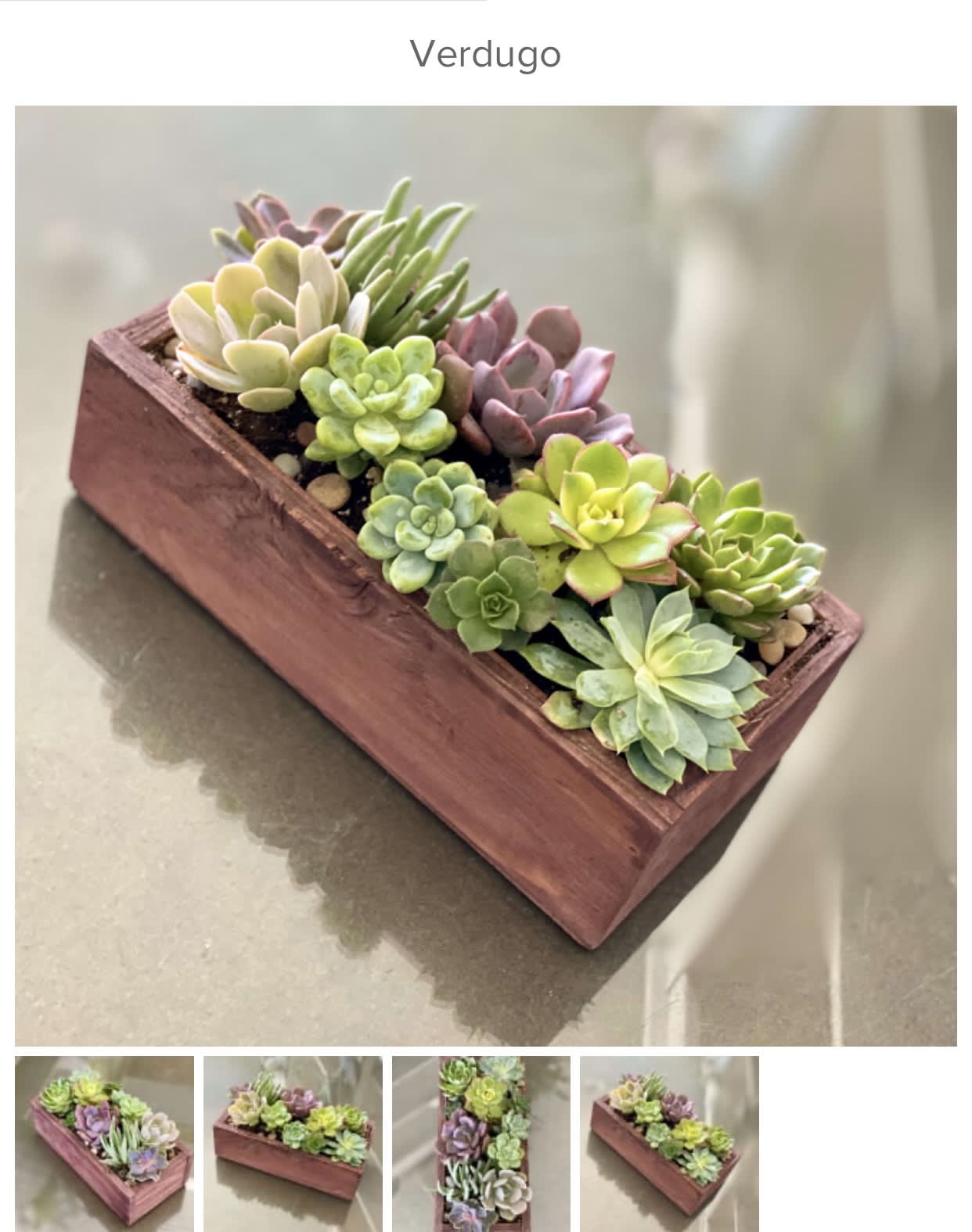 Succulent arrangement in a rectangular wooden planter